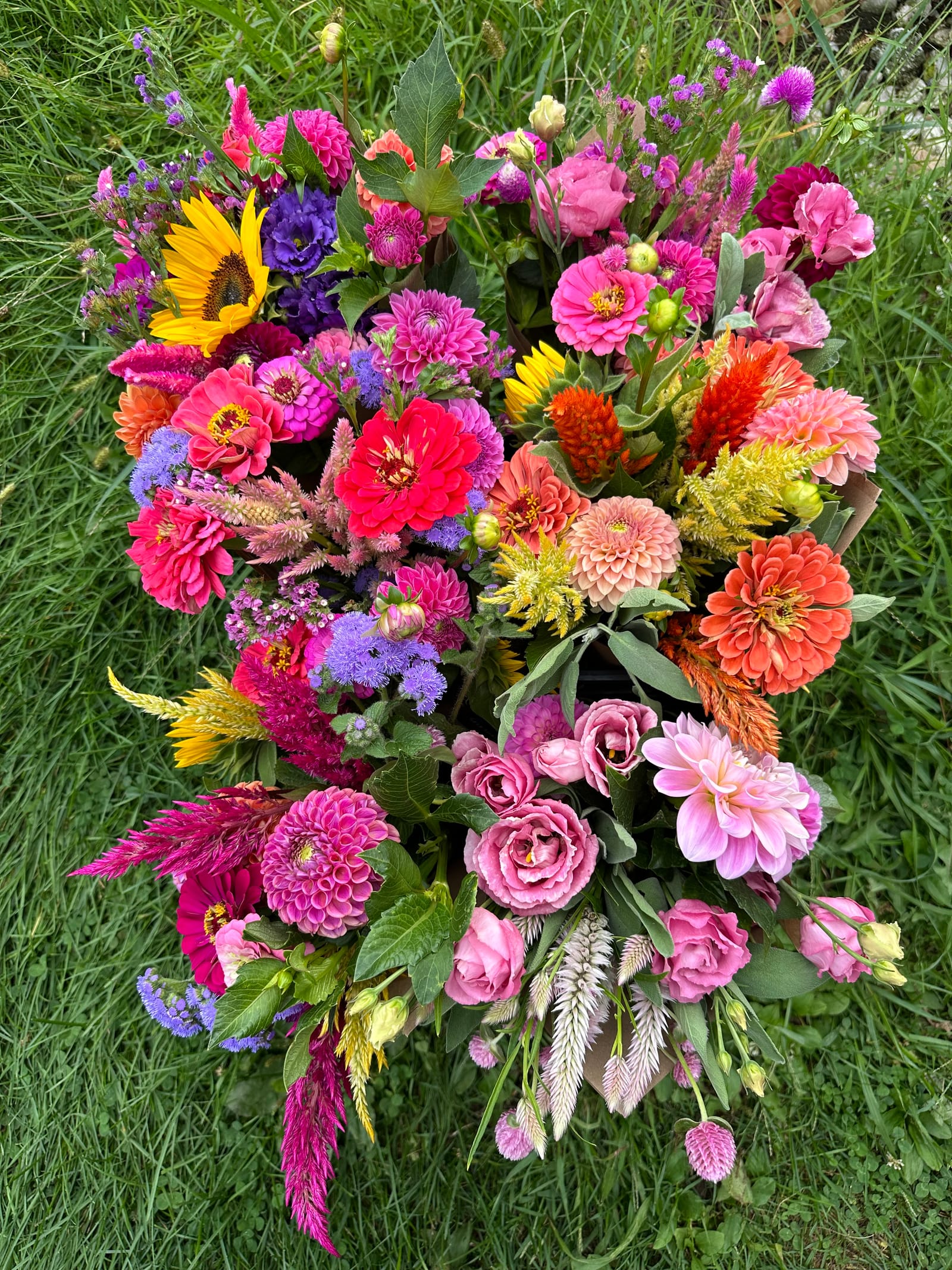 A lush overhead bouquet of dahlias, zinnias, lisianthus, sunflowers, and celosia laid on the grass